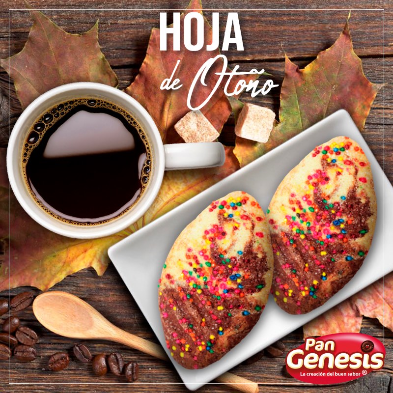 Genesis Bread